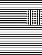 Modern Black White Stripe Field Rug