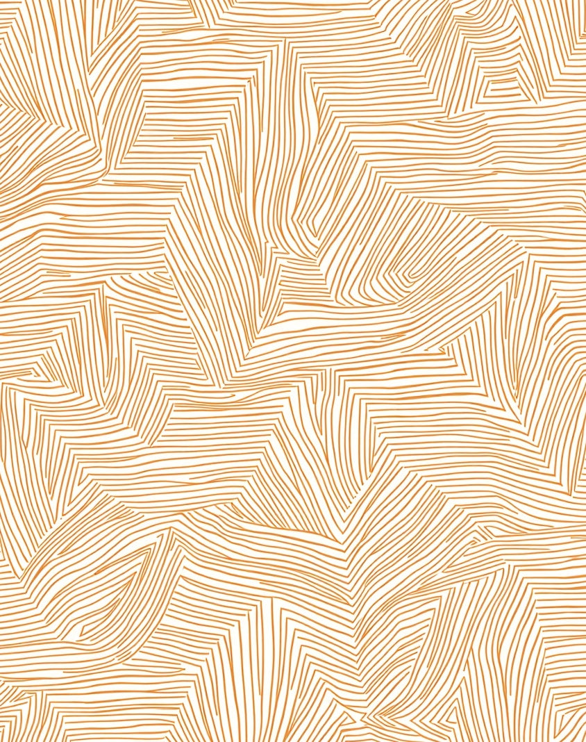 Golden Orange Abstract Line Overlay Rug