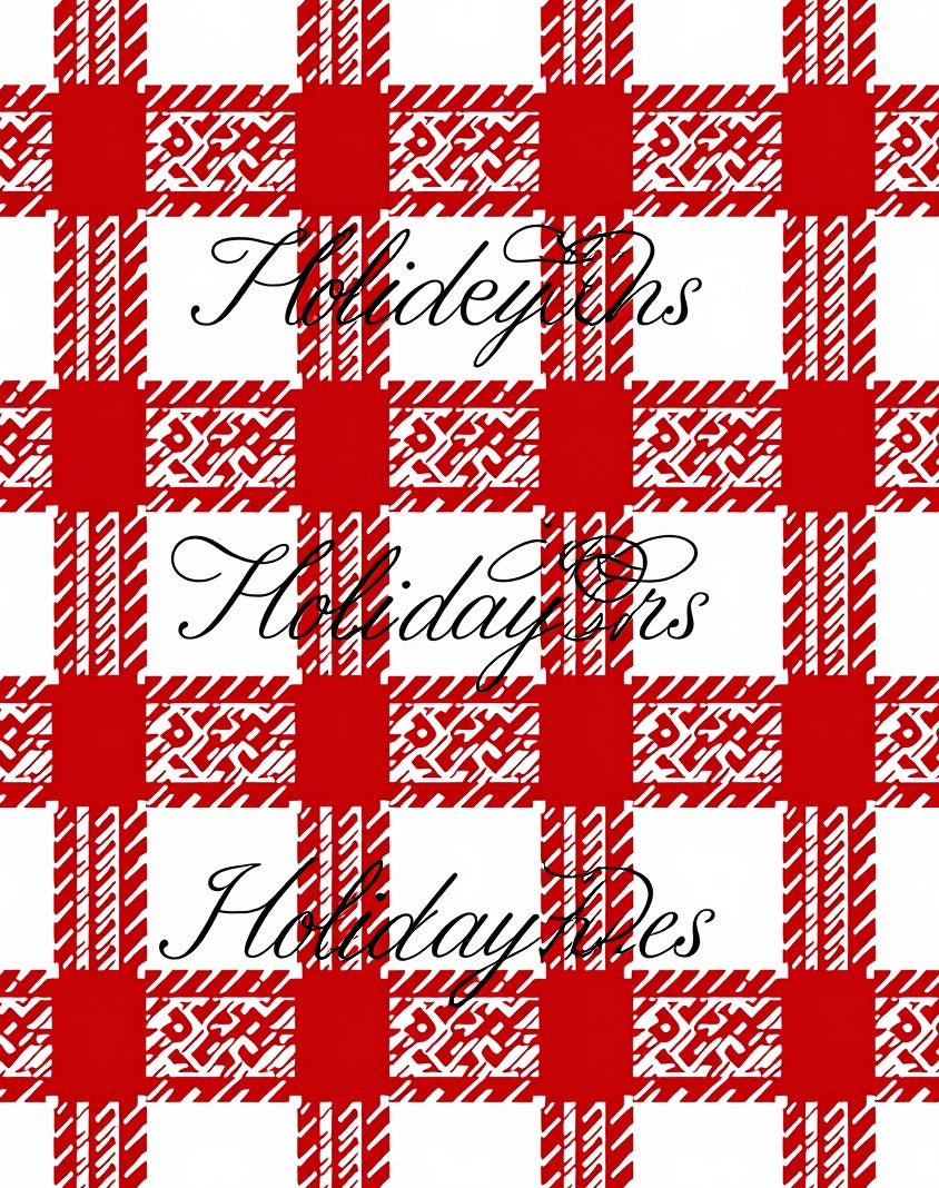 Red White Gingham Holiday Text Rug