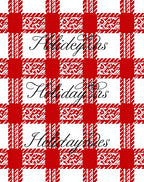 Red White Gingham Holiday Text Rug