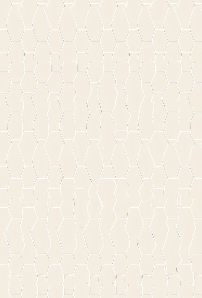 Cream Hexagon Lattice Relief Rug