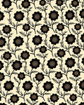 Black Floral Silhouette Cream Ground Rug