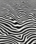 Modern Black White Wave Rug
