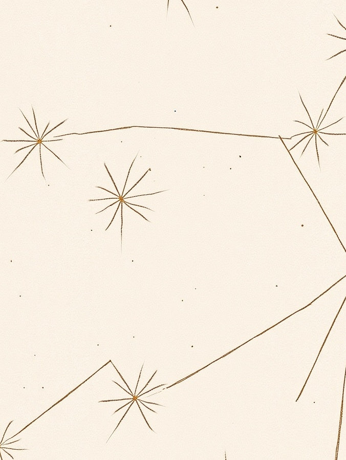 Vintage Star Map Constellation Design Rug