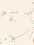 Vintage Star Map Constellation Design Rug