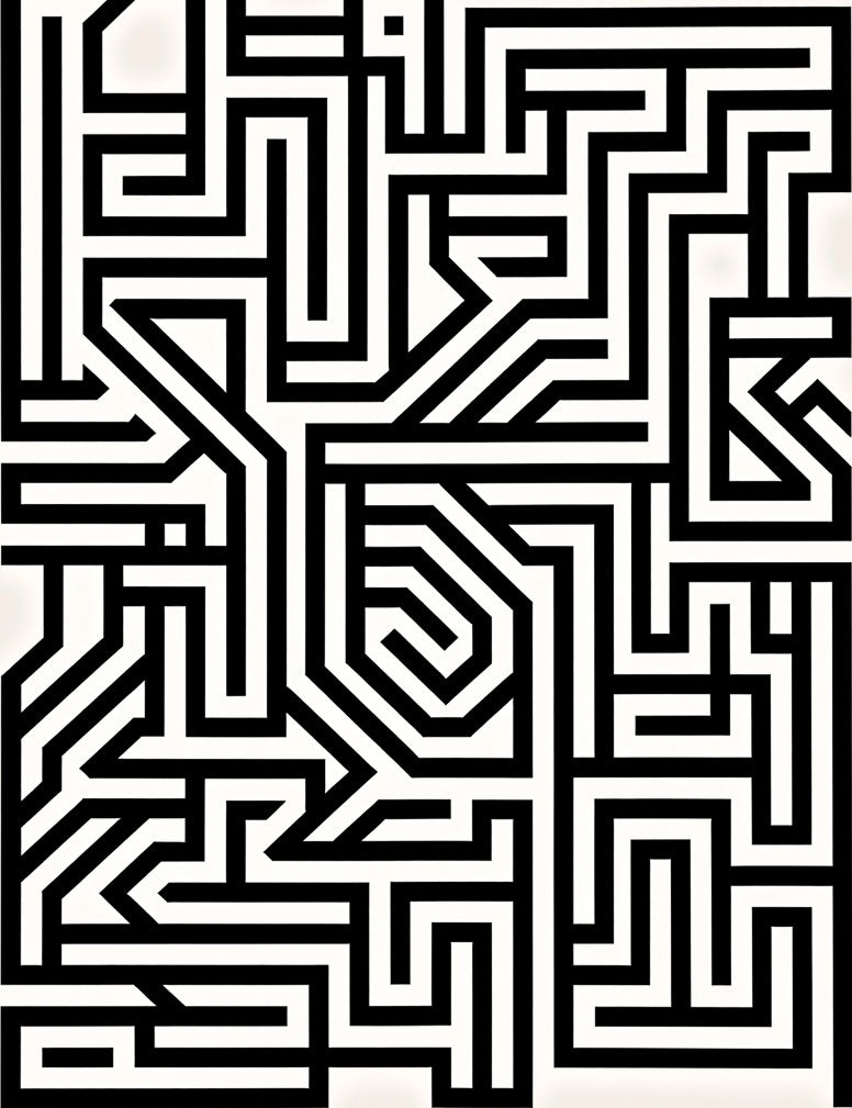 Bold Lines Labyrinth Rug