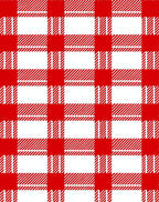 Classic Red White Gingham Check Rug