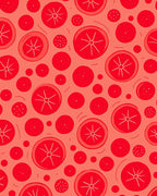 Red Citrus Slice Medley Rug