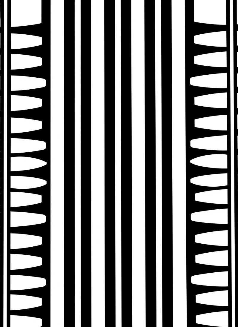 Bold Black White Vertical Stripe Border Rug