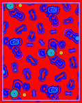 Vibrant Red Blue Abstract Organic Shapes Rug