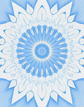 Pale Blue Floral Sunburst Rug
