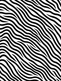 Graphic Black White Zebra Stripe Rug