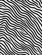 Graphic Black White Zebra Stripe Rug