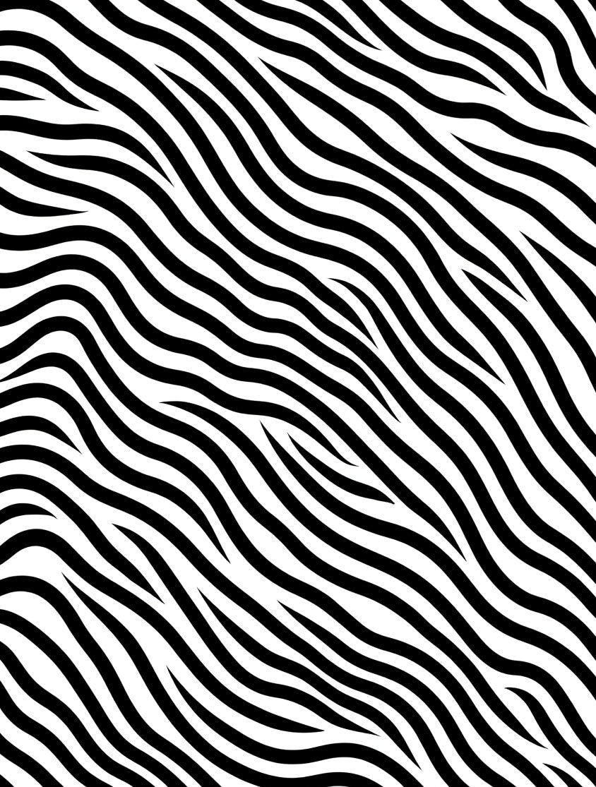 Graphic Black White Zebra Stripe Rug