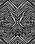Monochromatic Black White Zebra Stripes Rug