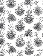 Black White Botanical Floral Outline Rug