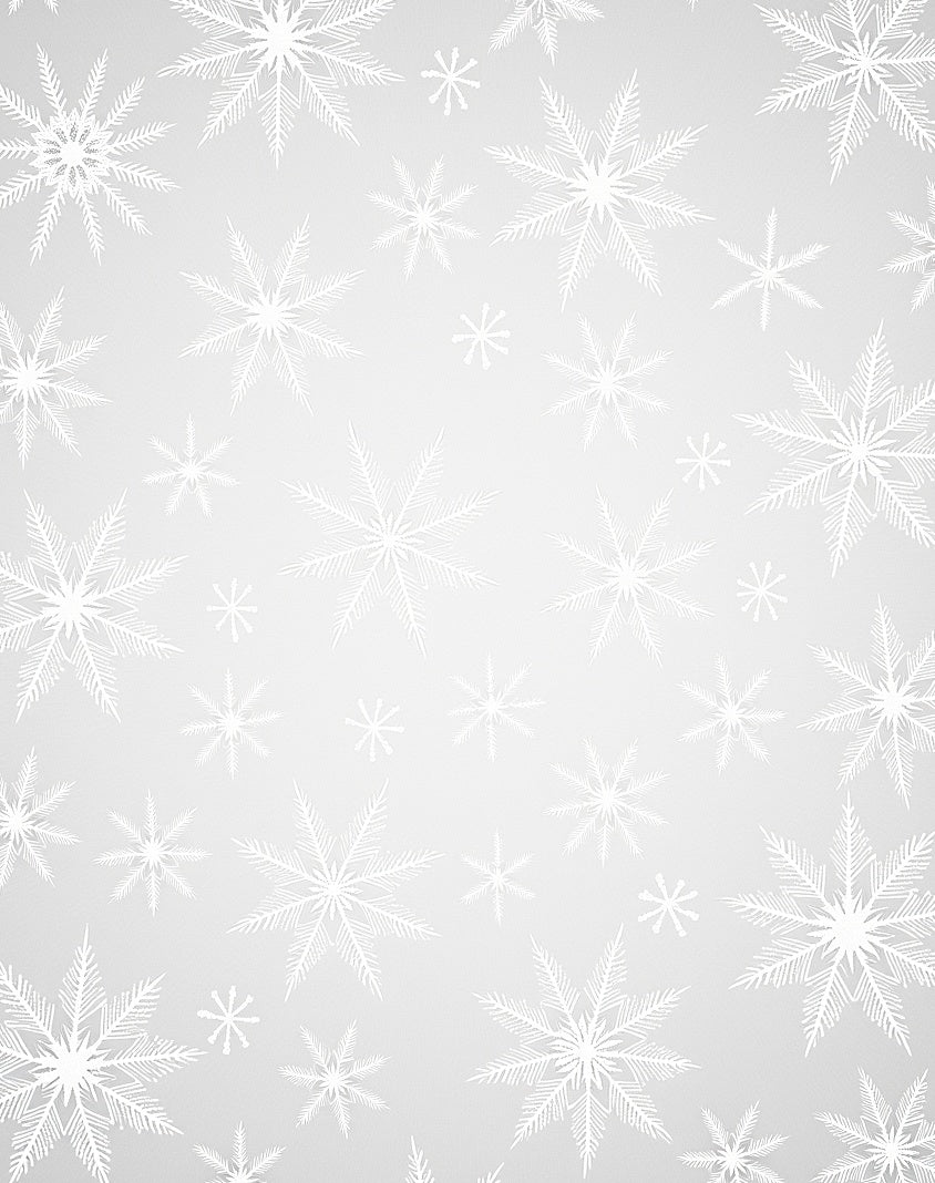 Winter White Snowflake Scatter Rug