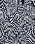 Bold Black and White Swirling Lines Rug