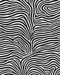 Bold Black White Swirling Lines Rug