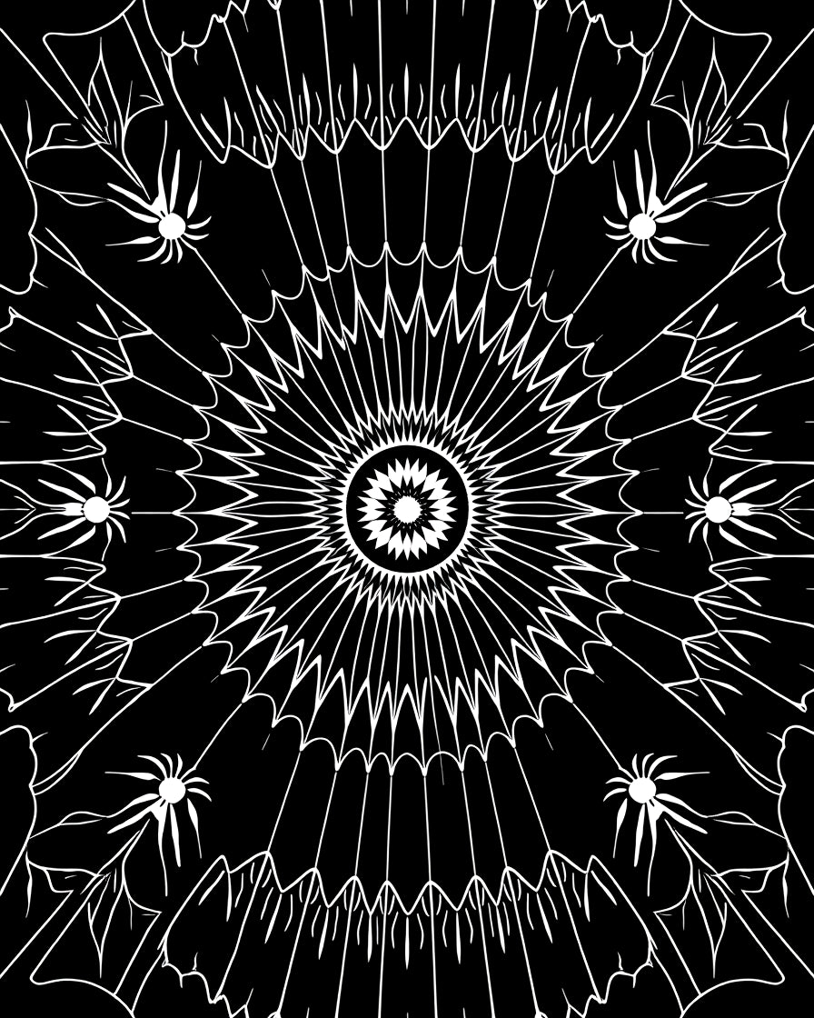 Arachnid Cobweb Sunburst Medallion Rug
