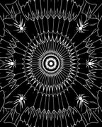 Arachnid Cobweb Sunburst Medallion Rug
