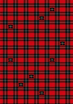 Classic Red Plaid Floral Scatter Rug