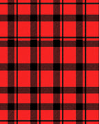 Bold Red Black Plaid Checkered Rug