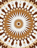 Brown Earth Tone Radial Sunburst Rug