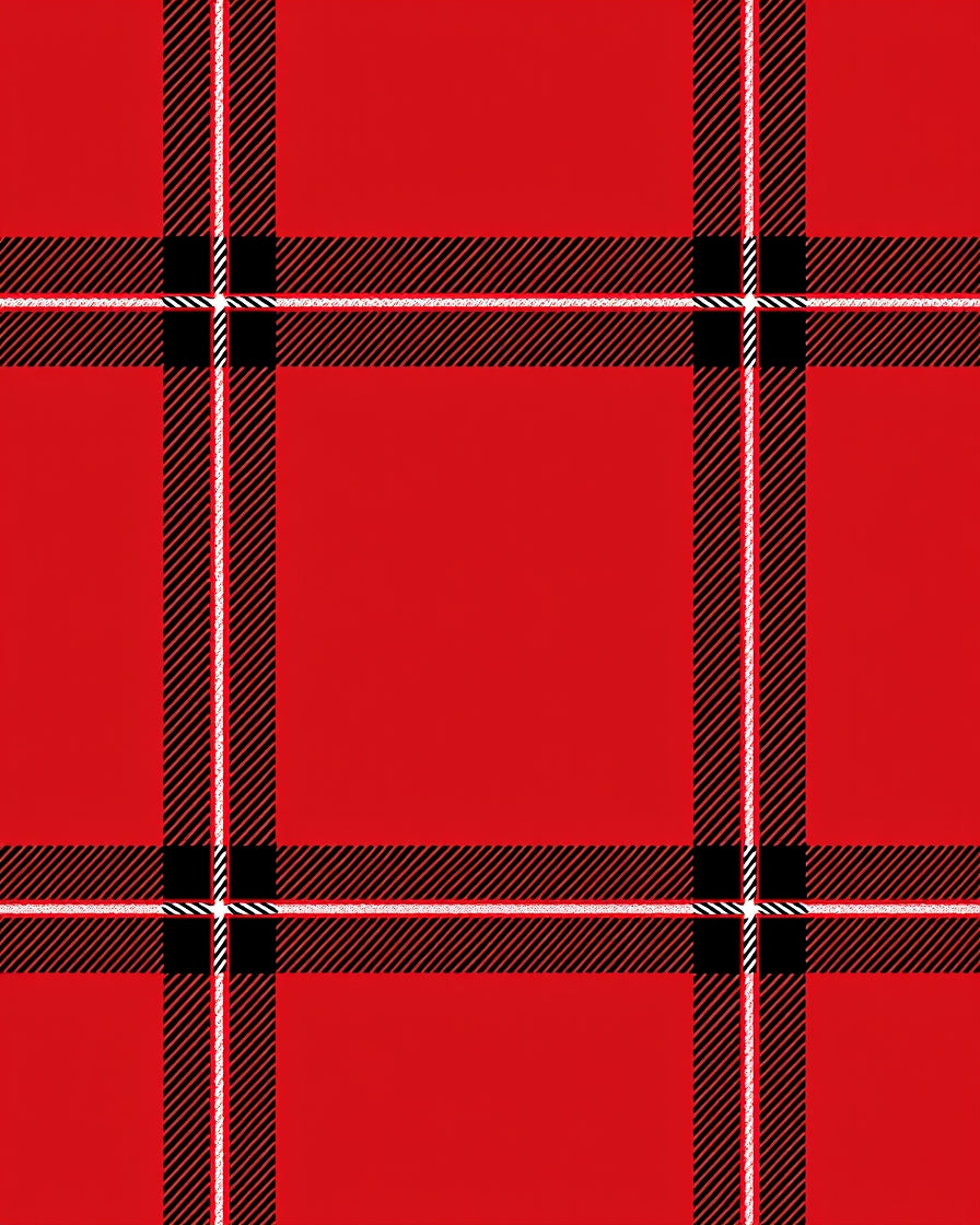 Bold Red Plaid Checkered Rug