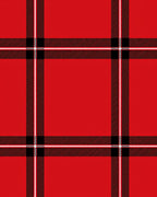 Bold Red Plaid Checkered Rug