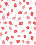 Coral Petal Scatter Across White Rug