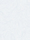Pale Blue Swirling Contour Lines Rug