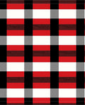 Bold Red Black White Buffalo Check Rug