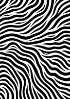 Bold Black White Striped Overlay Rug