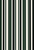 Dark Green White Stripe Rug
