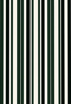 Dark Green White Stripe Rug
