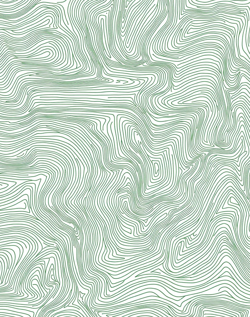 Green Contour Topographic Lines Rug
