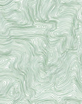 Green Contour Topographic Lines Rug