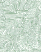 Green Contour Topographic Lines Rug