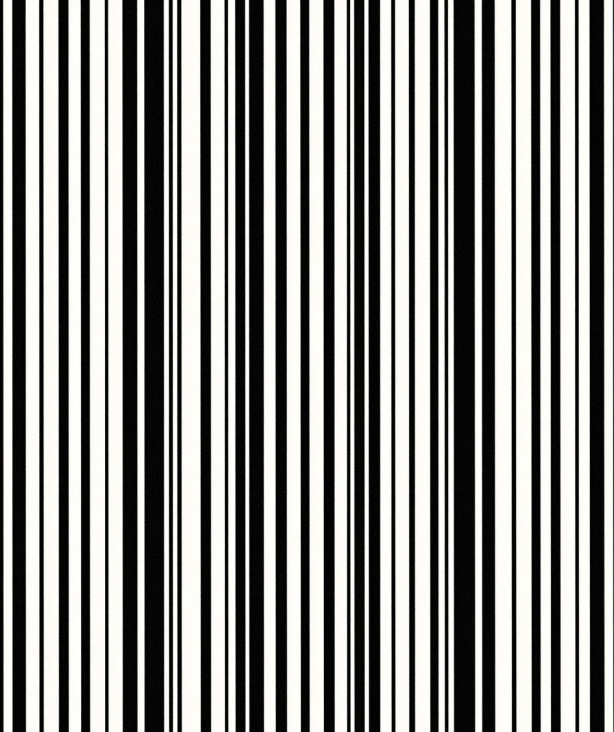 Bold Black White Stripe Rhythm Rug