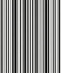 Bold Black White Stripe Rhythm Rug