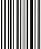 Bold Black White Stripe Rhythm Rug