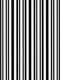 Classic Black White Vertical Stripe Rug
