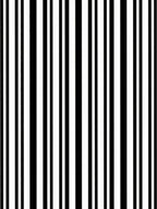 Classic Black White Vertical Stripe Rug