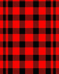 Bold Red Black Plaid Squares Rug
