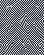 Bold Monochrome Linear Illusion Rug