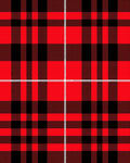 Bold Red Black Plaid Tartan Rug