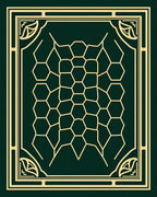 Emerald Geometric Honeycomb Frame Rug