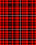 Bold Red Black Plaid Checkered Rug