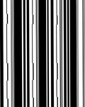 Bold Black White Vertical Stripe Rug